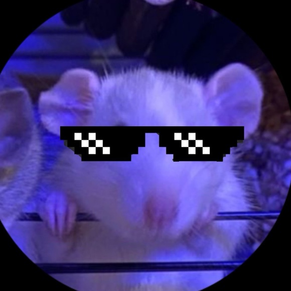 Meet your Posher, Tom - Picture 1 of 1